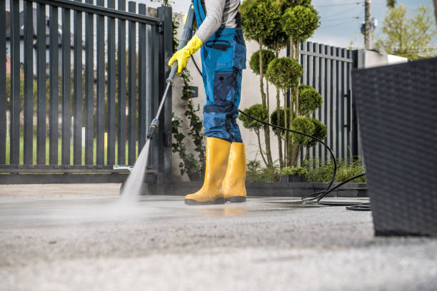 Best Solar Panel Cleaning  in Farwell, TX